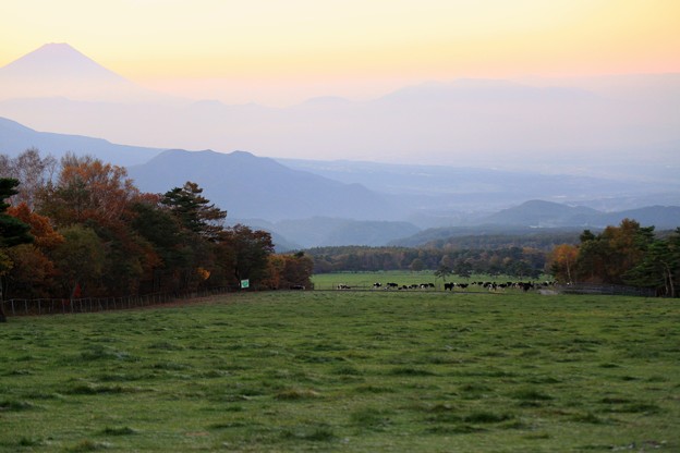 写真: 牧場の朝