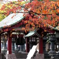 写真: 上野東照宮の紅葉