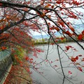 醍醐池の紅葉