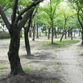 Photos: 花園中央公園