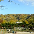 写真: 飯盛山（生駒山系）の紅葉（北条公園から）