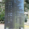 010藤下若宮八幡神社 (2)