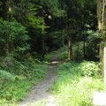 083三井寺へのハイキングコース