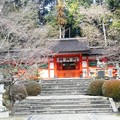 写真: 大原野神社 (3)