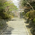 写真: 大原野神社 (9)