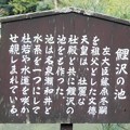 写真: 大原野神社・鯉沢の池