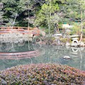 大原野神社・鯉沢の池 (2)