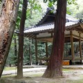 043三宮神社 (3)