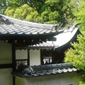 20春日神社 (3)