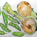サワちゃんからの豌豆と玉葱