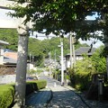 近津尾神社