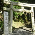 近津尾神社 (3)