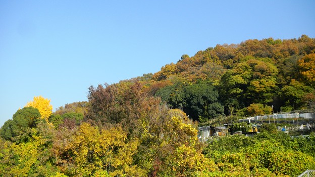 写真: 生駒山系の山
