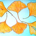 銀杏の葉