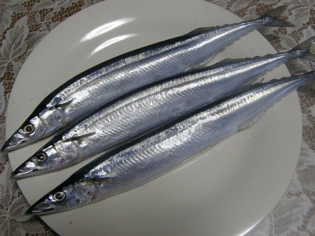 写真: お買得 秋刀魚 ＠ビッグヨーサン