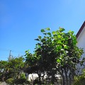 写真: 北広島市の今日の空