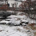 写真: 庭の積雪・朝