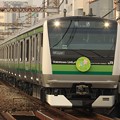 写真: 横浜線E233系6000番台