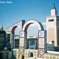 写真: 上から見たチュニスのグランド・モスク２