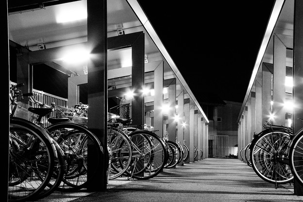 写真: parking area for bicycles