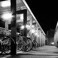 写真: parking area for bicycles