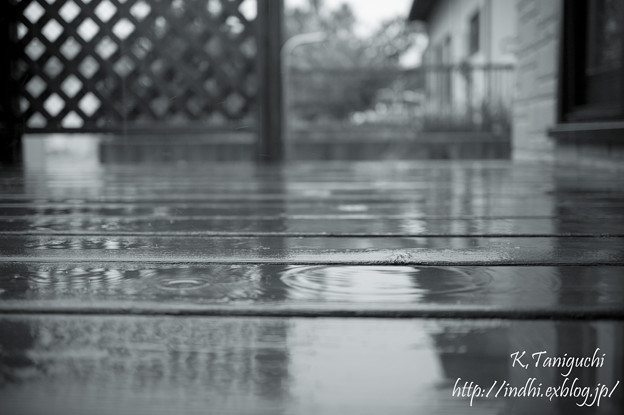 写真: 雨天