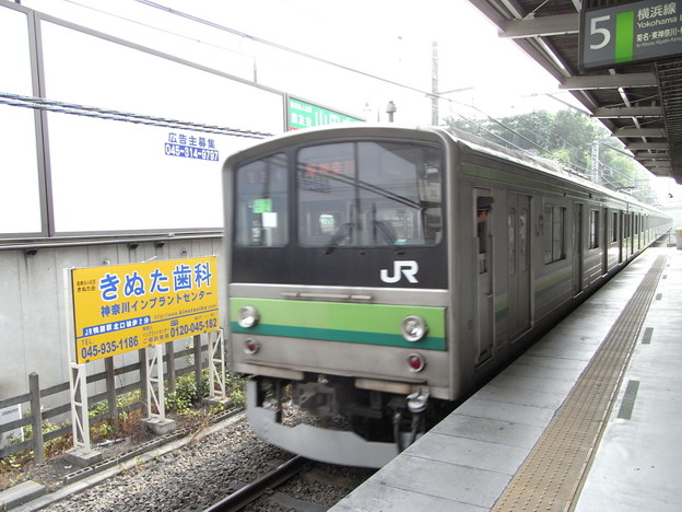 写真: ２０５系横浜線（新横浜駅）