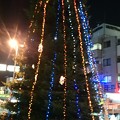 写真: クリスマスツリー（淵野辺駅）