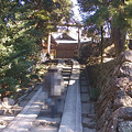 唐沢神社