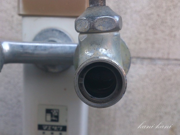 写真: 蛇口の水漏れ修理