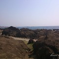 写真: 野島崎海岸