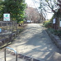 写真: 鎌倉中央公園