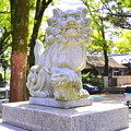 写真: 青井阿蘇神社の狛犬(左)