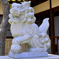 写真: 青井阿蘇神社の狛犬(右)