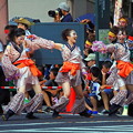 写真: 岡山市の桃太郎祭り「うらじゃ」。。