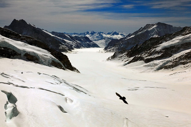 （スイス） アレッチ氷河、ヨーロッパ最長 ♪