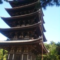 写真: 興福寺　五重塔