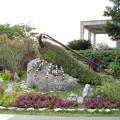 写真: 沖縄 美ら海水族館16 えびさん