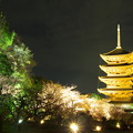 写真: 東寺の五重塔
