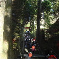 写真: 箱根神社１
