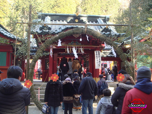 写真: 箱根神社２