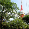 写真: 宇都宮タワーと緑