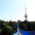 宇都宮タワーと吊り橋