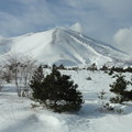 写真: 浅間雪景色