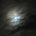 写真: お月様