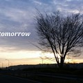 写真: 明日への道