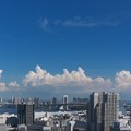 写真: 2012.08.25　三田　姪のマンション窓景
