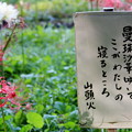 2012.10.08　和泉川　彼岸花横の立札