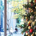 2012.11.20　東京　丸ビル　クリスマスツリー