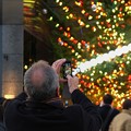 写真: 2012.12.16　銀座　ミキモトのクリスマスツリー